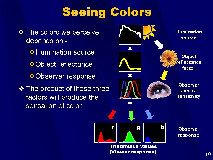 Seeing Colors v The colors we perceive depends on: - Illumination source x v.