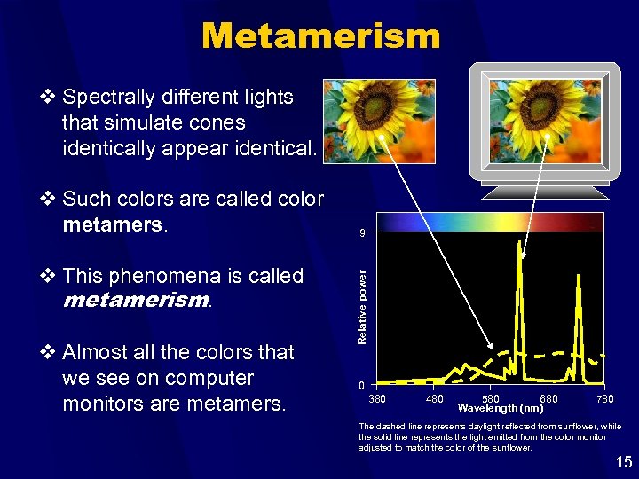 Metamerism v Spectrally different lights that simulate cones identically appear identical. v This phenomena