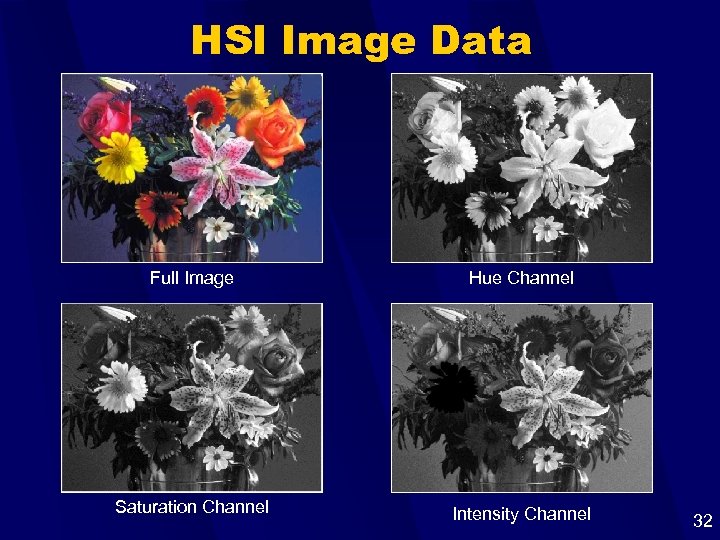 HSI Image Data Full Image Hue Channel Saturation Channel Intensity Channel 32 