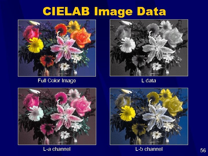 CIELAB Image Data Full Color Image L data L-a channel L-b channel 56 