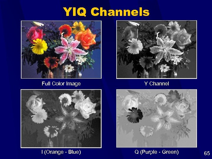 YIQ Channels Full Color Image Y Channel I (Orange - Blue) Q (Purple -