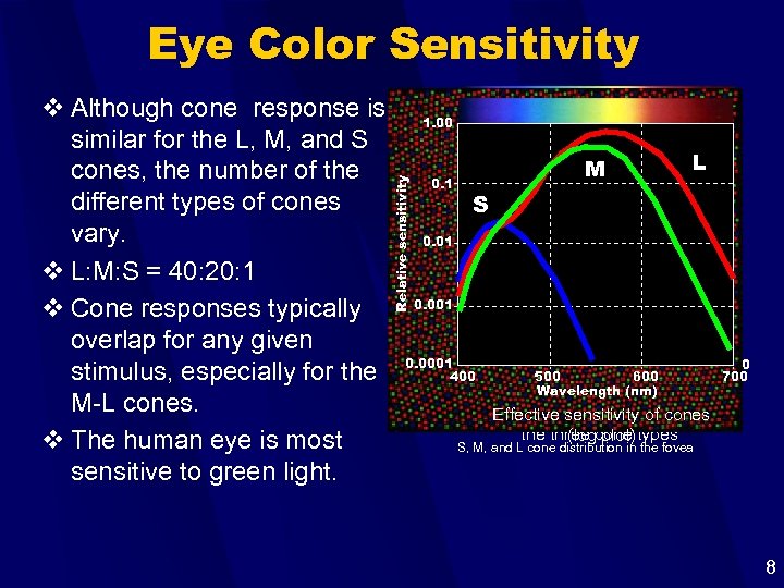 Eye Color Sensitivity 1. 00 Relative sensitivity Relative absorbtion v Although cone response is