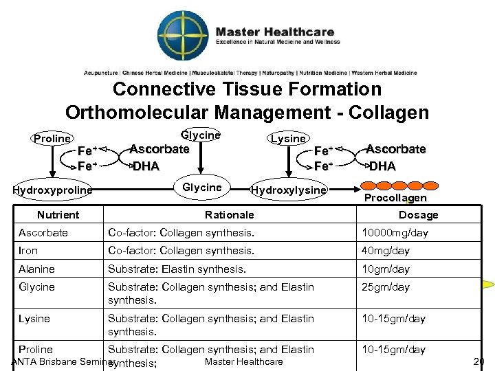 Connective Tissue Formation Orthomolecular Management - Collagen Proline Glycine Fe+ Hydroxyproline Nutrient Lysine Ascorbate