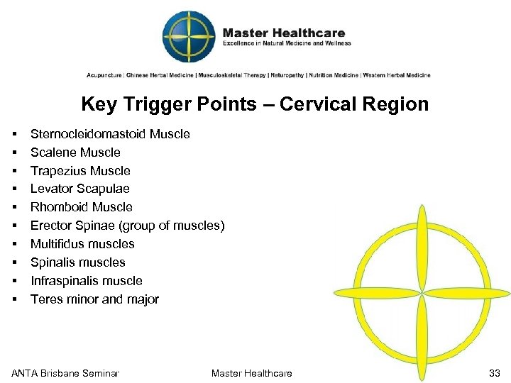 Key Trigger Points – Cervical Region § § § § § Sternocleidomastoid Muscle Scalene