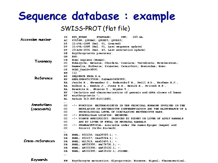 Sequence database : example SWISS-PROT (flat file) Accession number Taxonomy Reference Annotations (comments) Cross-references