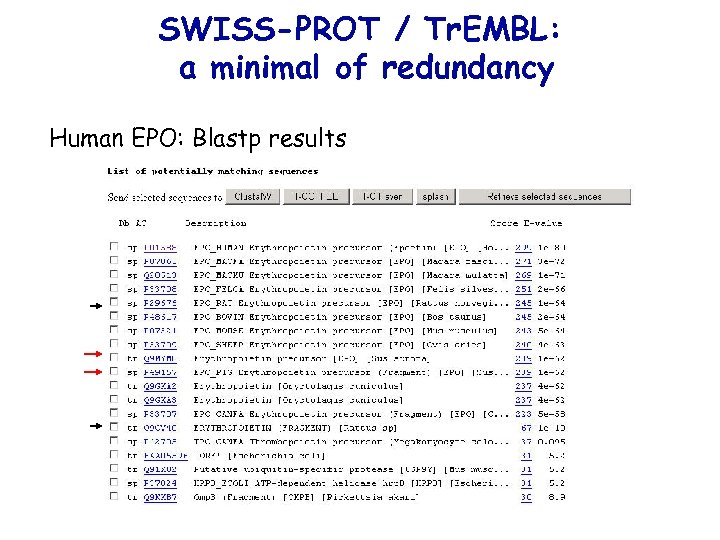 SWISS-PROT / Tr. EMBL: a minimal of redundancy Human EPO: Blastp results 