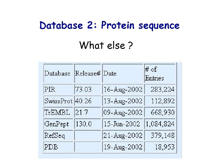 Database 2: Protein sequence What else ? 