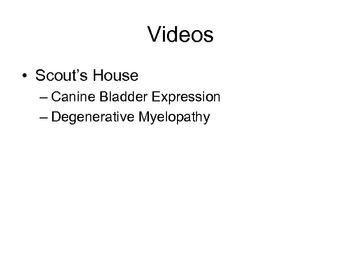 Videos • Scout’s House – Canine Bladder Expression – Degenerative Myelopathy 