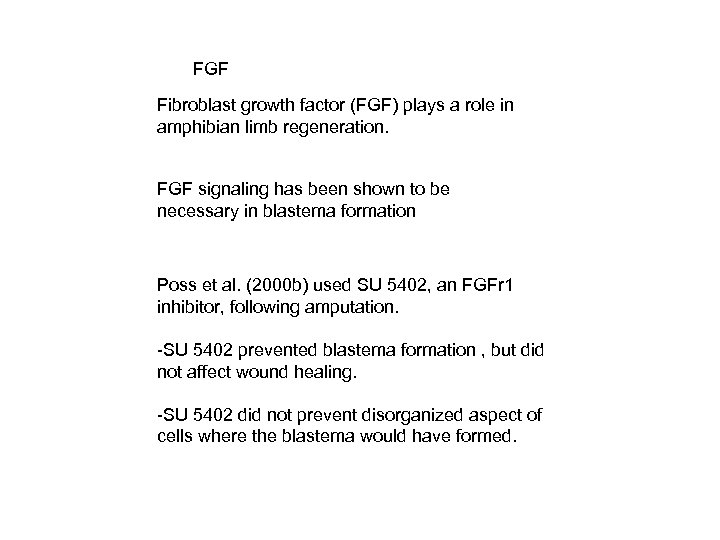 FGF Fibroblast growth factor (FGF) plays a role in amphibian limb regeneration. FGF signaling