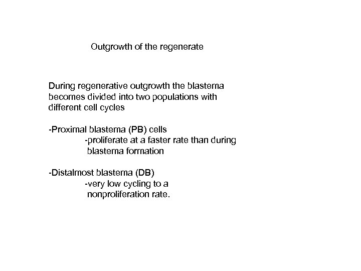 Outgrowth of the regenerate During regenerative outgrowth the blastema becomes divided into two populations