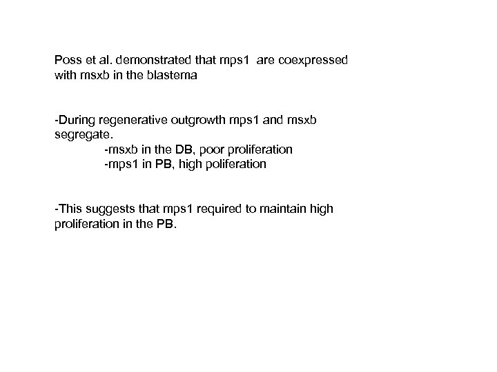 Poss et al. demonstrated that mps 1 are coexpressed with msxb in the blastema