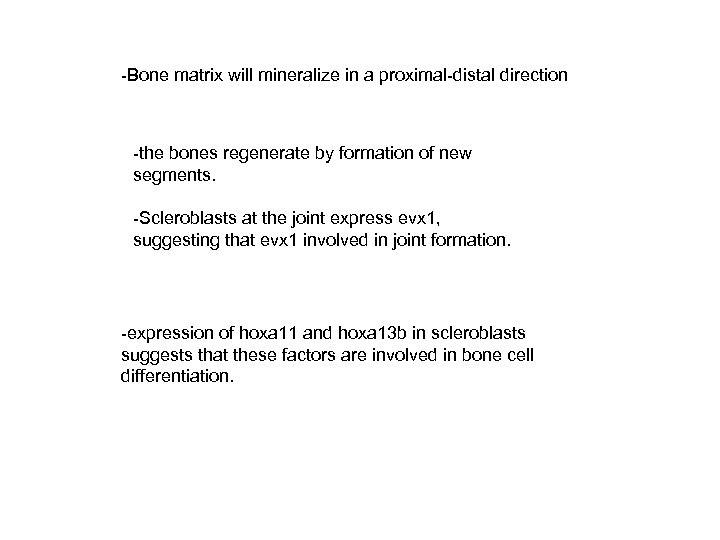 -Bone matrix will mineralize in a proximal-distal direction -the bones regenerate by formation of