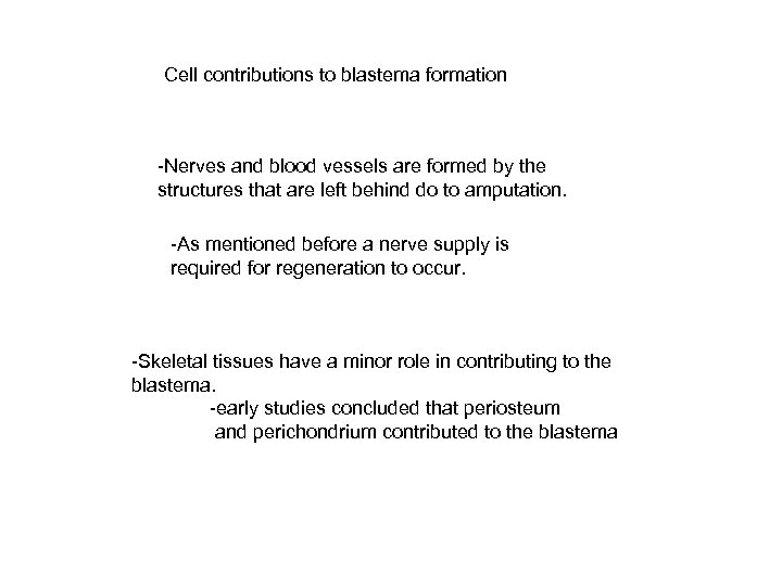 Cell contributions to blastema formation -Nerves and blood vessels are formed by the structures