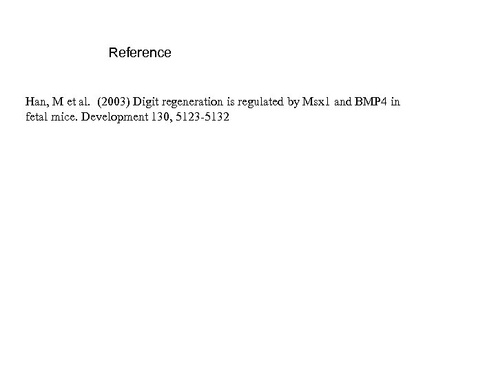 Reference Han, M et al. (2003) Digit regeneration is regulated by Msx 1 and