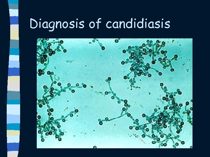 Diagnosis of candidiasis 