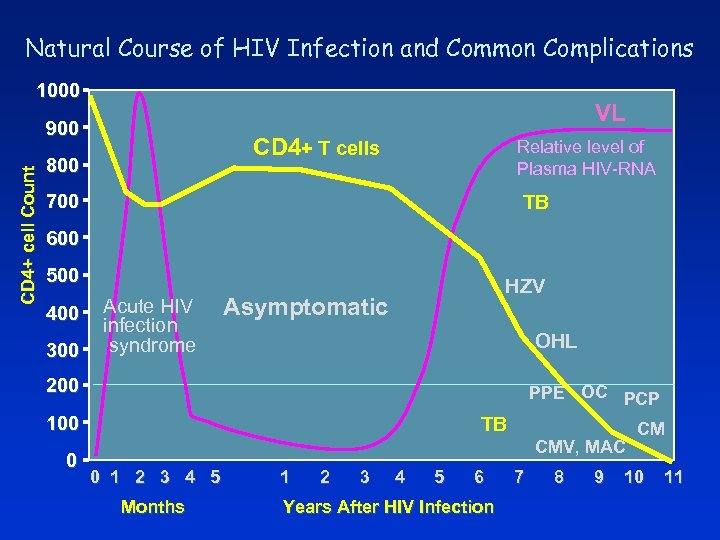 Natural Course of HIV Infection and Common Complications 1000 VL CD 4+ cell Count