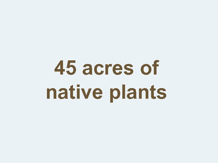 45 acres of native plants 