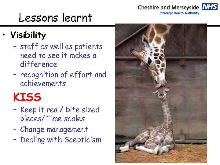 Lessons learnt • Visibility – staff as well as patients need to see it