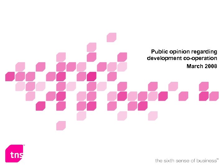 Public opinion regarding development co-operation March 2008 