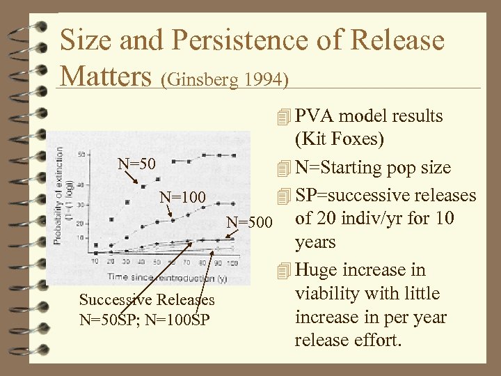 Size and Persistence of Release Matters (Ginsberg 1994) 4 PVA model results (Kit Foxes)