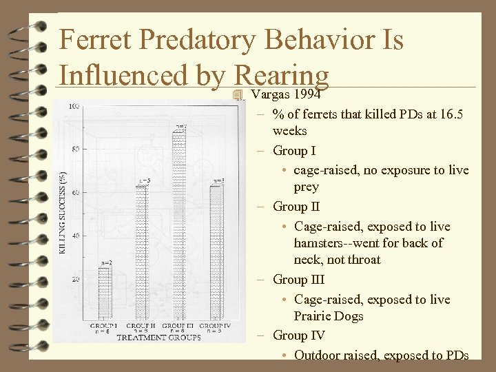 Ferret Predatory Behavior Is Influenced by 4 Vargas 1994 Rearing – % of ferrets