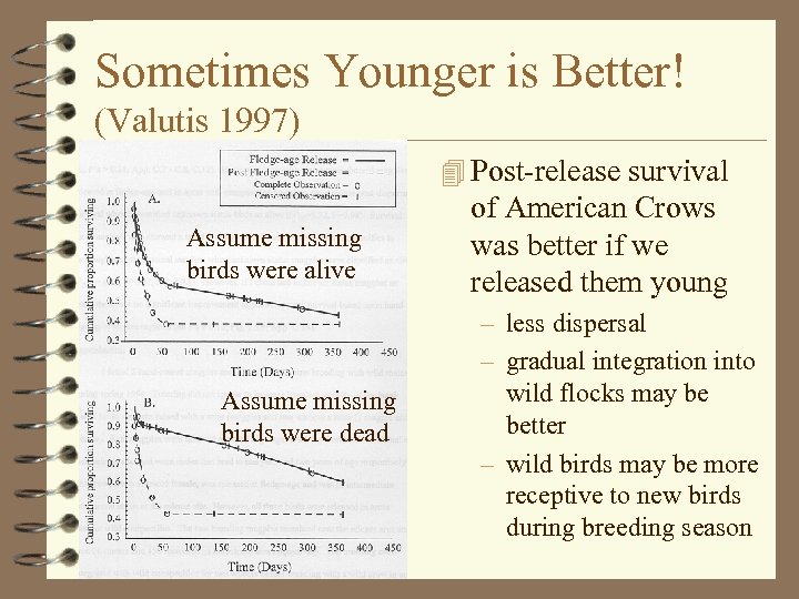 Sometimes Younger is Better! (Valutis 1997) 4 Post-release survival Assume missing birds were alive