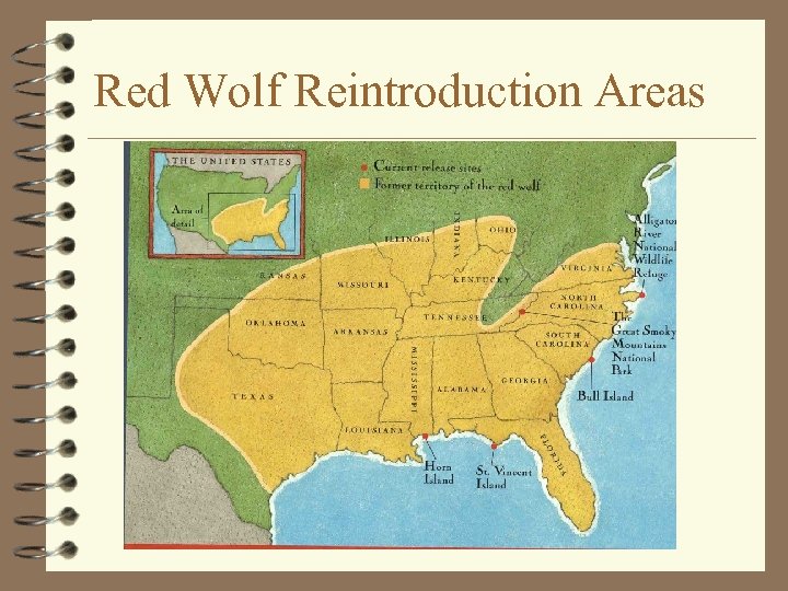 Red Wolf Reintroduction Areas 