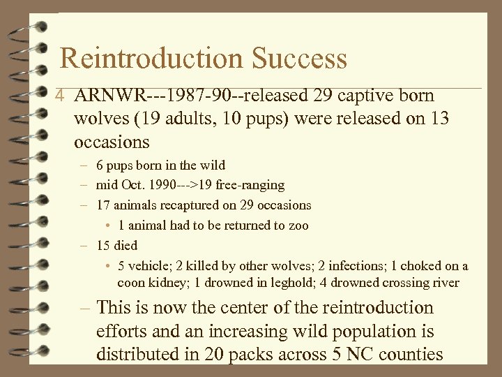 Reintroduction Success 4 ARNWR---1987 -90 --released 29 captive born wolves (19 adults, 10 pups)