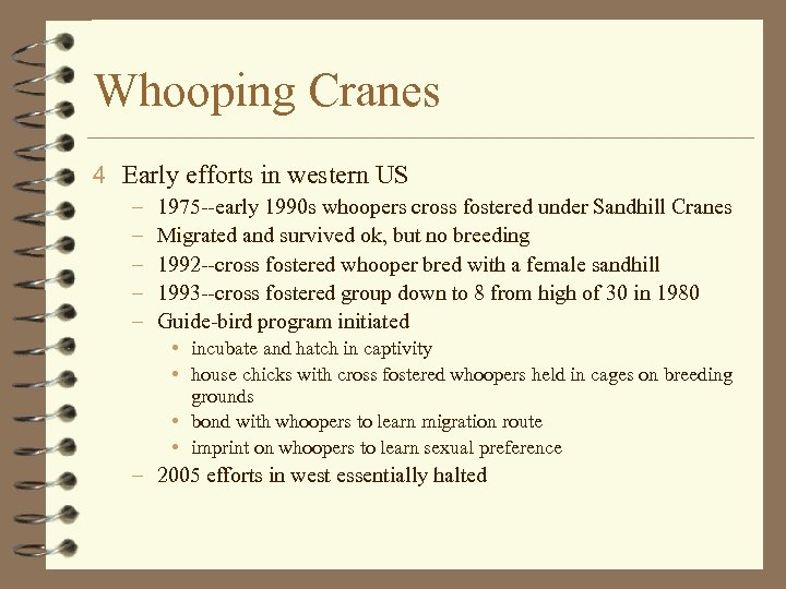 Whooping Cranes 4 Early efforts in western US – – – 1975 --early 1990