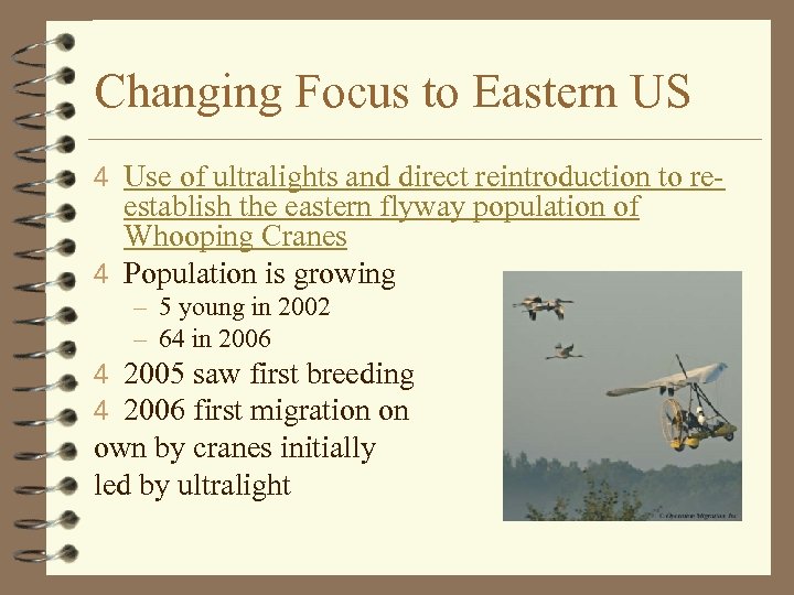 Changing Focus to Eastern US 4 Use of ultralights and direct reintroduction to re-