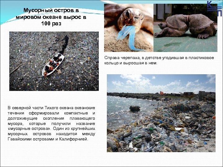Мусорный остров в мировом океане вырос в 100 раз Справа черепаха, в детстве угодившая