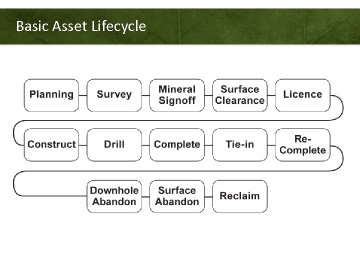 Basic Asset Lifecycle 