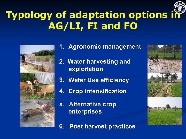 Typology of adaptation options in AG/LI, FI and FO 1. Agronomic management 2. Water