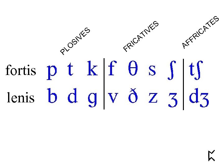 ES IV S LO P fortis lenis A IC FR TI ES V ES