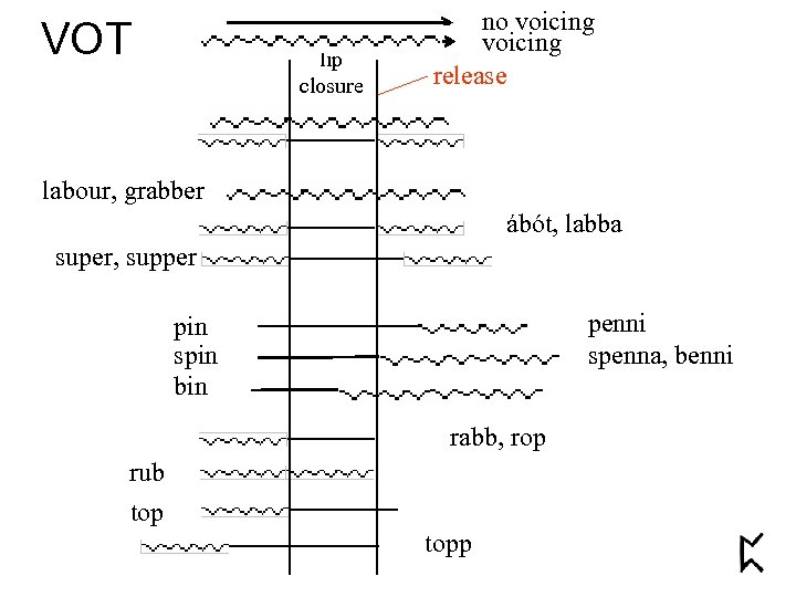 VOT lip closure no voicing release labour, grabber ábót, labba super, supper penni spenna,