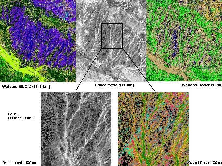 Wetland GLC 2000 (1 km) Radar mosaic (1 km) Wetland Radar (1 km) Source:
