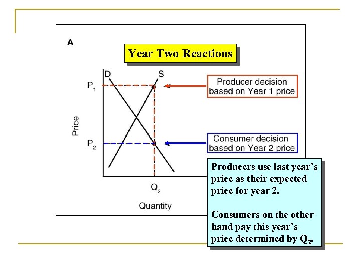 Year Two Reactions Producers use last year’s price as their expected price for year