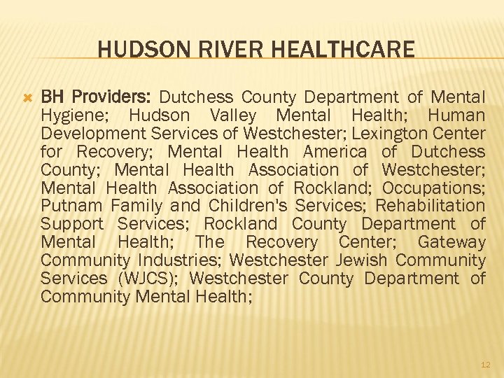 HUDSON RIVER HEALTHCARE BH Providers: Dutchess County Department of Mental Hygiene; Hudson Valley Mental