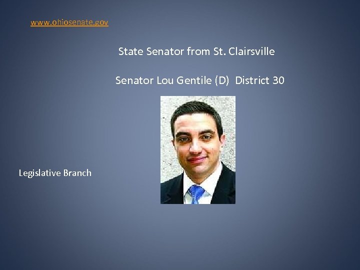 www. ohiosenate. gov State Senator from St. Clairsville Senator Lou Gentile (D) District 30