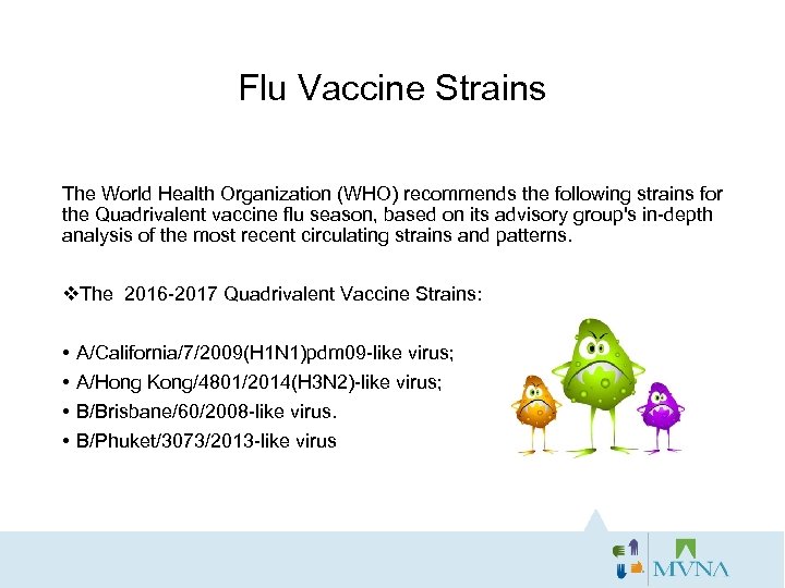 Flu Vaccine Strains The World Health Organization (WHO) recommends the following strains for the