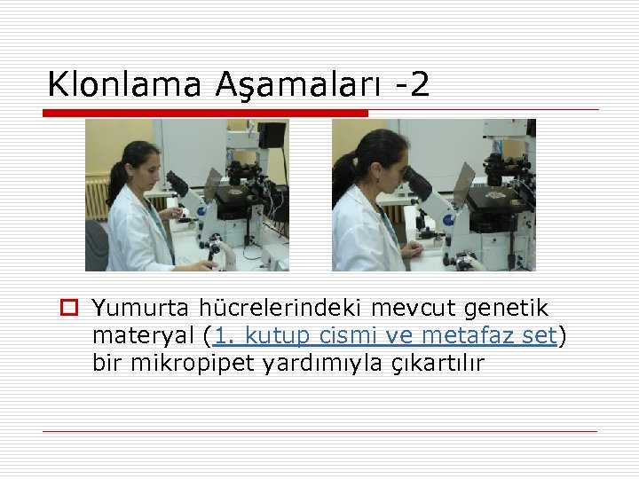 Klonlama Aşamaları -2 Yumurta hücrelerindeki mevcut genetik materyal (1. kutup cismi ve metafaz set)