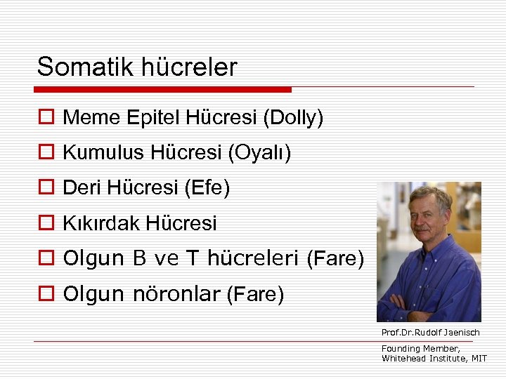 Somatik hücreler Meme Epitel Hücresi (Dolly) Kumulus Hücresi (Oyalı) Deri Hücresi (Efe) Kıkırdak Hücresi