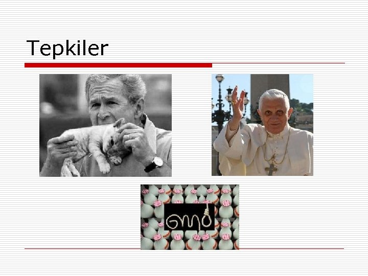 Tepkiler 