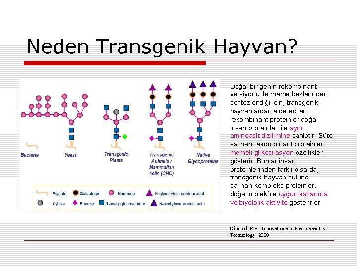 Neden Transgenik Hayvan? Doğal bir genin rekombinant versiyonu ile meme bezlerinden sentezlendiği için, transgenik