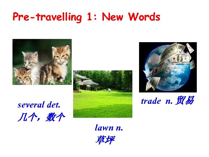 Pre-travelling 1: New Words trade n. 贸易 several det. 几个，数个 lawn n. 草坪 