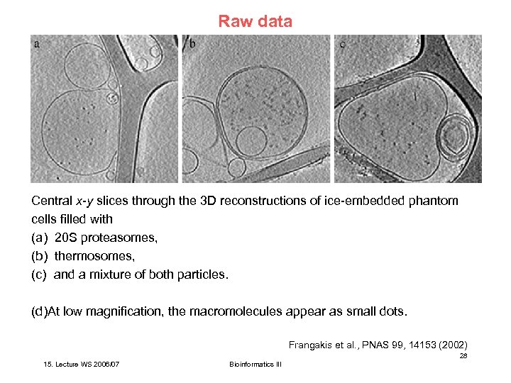 Raw data Central x-y slices through the 3 D reconstructions of ice-embedded phantom cells