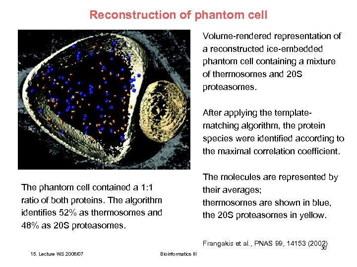 Reconstruction of phantom cell Volume-rendered representation of a reconstructed ice-embedded phantom cell containing a