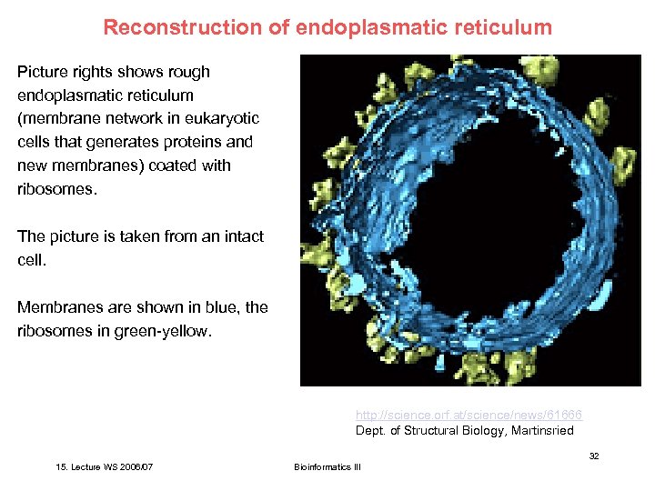 Reconstruction of endoplasmatic reticulum Picture rights shows rough endoplasmatic reticulum (membrane network in eukaryotic