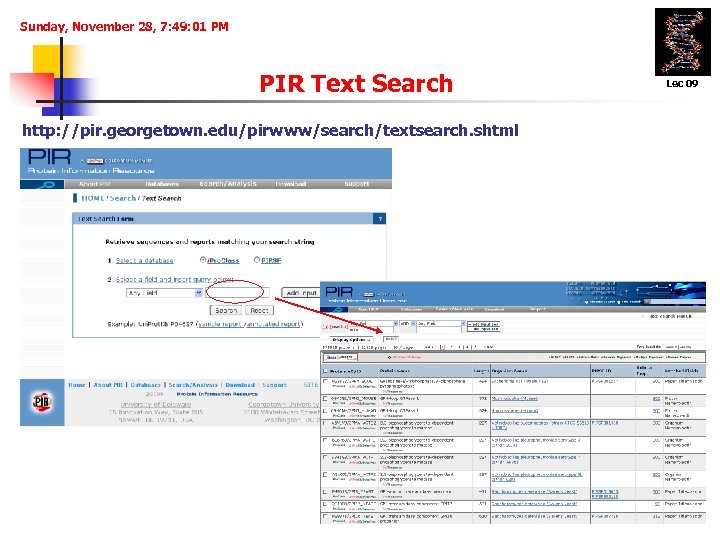 Sunday, November 28, 7: 49: 01 PM PIR Text Search http: //pir. georgetown. edu/pirwww/search/textsearch.