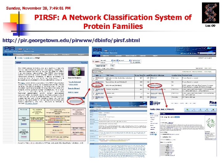 Sunday, November 28, 7: 49: 01 PM PIRSF: A Network Classification System of Protein